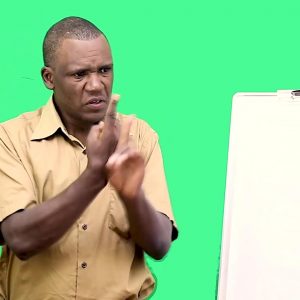 RECEPTIVE SIGN SKILL II