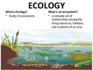 Intoduction to Ecology